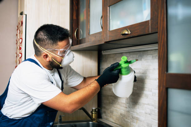 Pest Control Cost in Lake Hopatcong, NJ