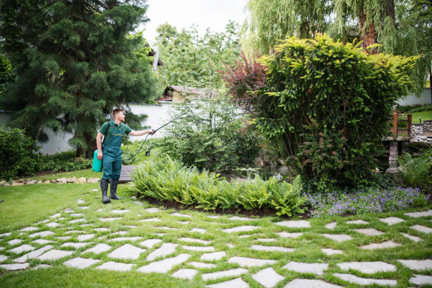 Best Wasp Removal Services  in Lake Hopatcong, NJ