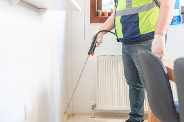 Best Termite Control Services  in Lake Hopatcong, NJ